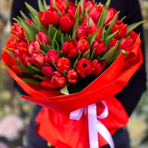 Buchet 50 Lalele rosii - Red Princess
